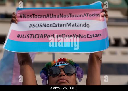 Lima, Pérou. 23rd févr. 2023. Un manifestant tient un écriteau exprimant son opinion au cours de la démonstration. Alors que le pays traverse une crise sociale, les attaques transphobes ne cessent pas. À ce jour, au moins sept femmes trans ont été assassinées au Pérou. Les organisations et les collectifs ont appelé à une marche à Lima et dans plusieurs régions afin d'exiger la rapidité des enquêtes et la justice pour les victimes. Crédit : SOPA Images Limited/Alamy Live News Banque D'Images