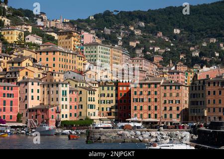 Le port de la vieille ville historique de Camogli avec des maisons colorées en Ligurie, Italie. Banque D'Images