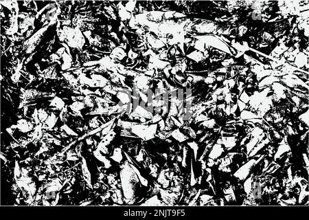 Texture à col de cygne noir et blanc, texture artistique et naturelle avec format vectoriel EPS. Illustration de Vecteur