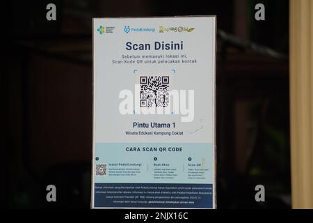 Code QR de la lecture du vaccin pour le visiteur Banque D'Images