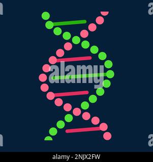 Code génétique isolé de la molécule d'ADN torsadé hélice structure de dessin animé. Chromosome à forme hélicoïdale ou en spirale de gènes vectoriels. Chimie et biologie génome Illustration de Vecteur