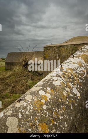 Bunkers allemands à Utah Beach France. Banque D'Images