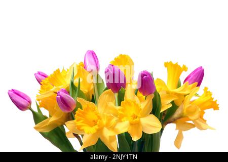 bouquet de printemps avec tulipes et jonquilles, découpe Banque D'Images