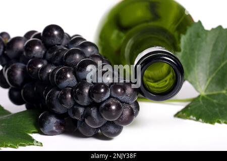 vider la bouteille de vin avec la feuille et le raisin, découpe Banque D'Images