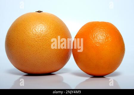 Pamplemousse (Citrus paradisi), pamplemousse à l'orange (à droite), découpe Banque D'Images