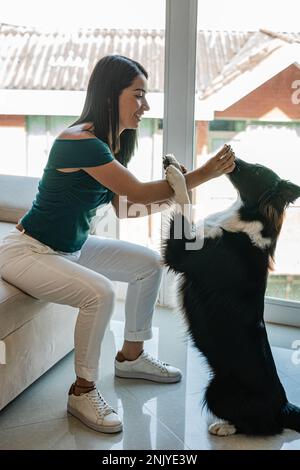 Vue latérale d'une jeune femme charmante, assise sur un canapé et souriante en jouant avec un adorable chien Border Collie, un chien de race purebred, debout sur le derrière Banque D'Images