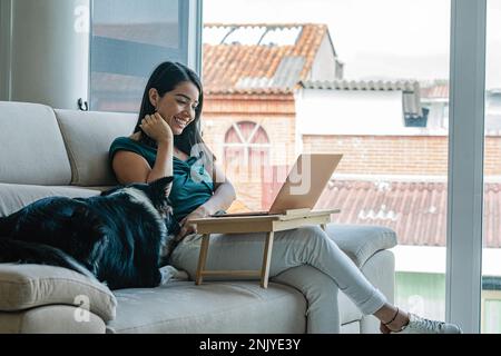 Vue latérale d'une jeune femme hispanique freelancer gaie avec de longs cheveux foncés travaillant à distance sur un ordinateur portable assis sur un canapé près du joli chien Border Collie Banque D'Images