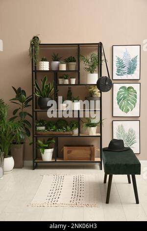 Intérieur de chambre élégant avec beaucoup de belles plantes de maison Banque D'Images