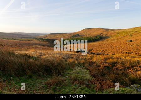 Descendez les pentes de la vallée de Burbage vers un petit bois et Higger Tor et un fort Carl Wark éloigné. Banque D'Images