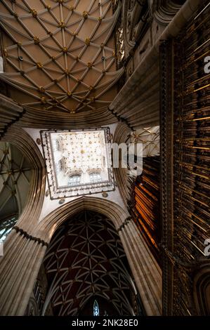 Tour de lanterne traversant le plafond à la cathédrale gothique perpendiculaire de York, dans la ville médiévale de York, en Angleterre. Banque D'Images