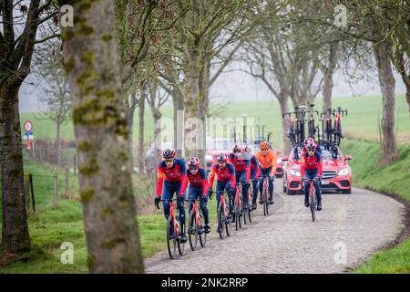 Les pilotes de l'INEOS Grenadiers photographiés en action lors de la reconnaissance de la piste de la course cycliste d'une journée de ce week-end Omloop Het Nieuwsblad, jeudi 23 février 2023. BELGA PHOTO JASPER JACOBS Banque D'Images