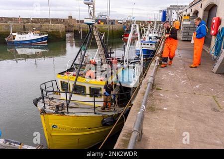 PITTENWEEM HARBOUR, ÉCOSSE, EUROPE - les pêcheurs commerciaux manipulent des cordes dans un village de pêcheurs sur la côte est de l'Écosse. Banque D'Images