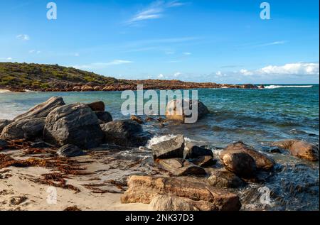 The Beautiful , Dunsborough, Australie occidentale, Australie. Banque D'Images