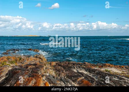 The Beautiful , Dunsborough, Australie occidentale, Australie. Banque D'Images