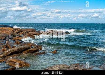 The Beautiful , Dunsborough, Australie occidentale, Australie. Banque D'Images