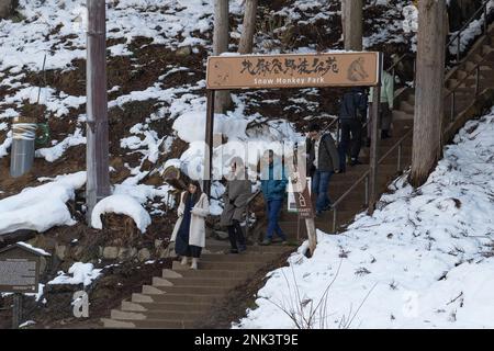 12 février 2023, Yamanochi, Préfecture de Nagano, Japon: La porte d'entrée principale du Parc des singes des neiges, qui abrite les célèbres singes des neiges de Nagano qui gardent au chaud par les sources chaudes volcaniques, le jour d'hiver à une température inférieure au point de congélation. ..Jigokudani Yaen-Koen, ou Parc des singes des neiges, est une destination touristique populaire. Situé dans les Alpes japonaises, les visiteurs peuvent observer les macaques japonais ou les singes à neige, se détendre dans les sources chaudes onsen pendant les mois d'hiver. Faune, nature, hiver, zoo, national géographique, sur le tourisme, ne laissez pas de trace, l'environnement. (Credit image: © Taidgh Barron/ZUMA Press Wir Banque D'Images