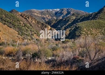 Pine Mountain, Sespe gorge, vue depuis Maricopa Highway, la forêt nationale de Los Padres, Ventura Ranges, Transverse Ranges, près d'Ojai, Californie, ÉTATS-UNIS Banque D'Images