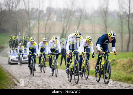 Intermarche-Circus-Wanty pilotes photographiés en action lors de la reconnaissance de la piste de la course cycliste d'une journée Omloop Het Nieuwsblad, jeudi 23 février 2023. BELGA PHOTO JASPER JACOBS Banque D'Images