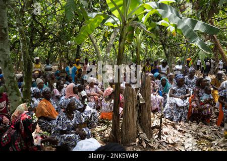 Agboville, Côte d'Ivoire. 23rd févr. 2023. Les travailleurs de la récolte s'assoient dans une plantation de cacao. Le ministre fédéral du travail Heil et le ministre fédéral de la coopération et du développement économiques Schulze se rendent au Ghana et en Côte d'Ivoire. Credit: Christophe bateau/dpa/Alay Live News Banque D'Images