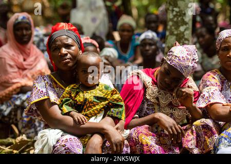 Agboville, Côte d'Ivoire. 23rd févr. 2023. Les travailleurs de la récolte s'assoient dans une plantation de cacao. Le ministre fédéral du travail Heil et le ministre fédéral de la coopération et du développement économiques Schulze se rendent au Ghana et en Côte d'Ivoire. Credit: Christophe bateau/dpa/Alay Live News Banque D'Images