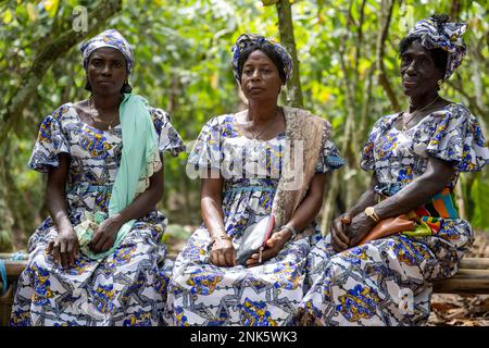 Agboville, Côte d'Ivoire. 23rd févr. 2023. Les travailleurs de la récolte s'assoient dans une plantation de cacao. Le ministre fédéral du travail Heil et le ministre fédéral de la coopération et du développement économiques Schulze se rendent au Ghana et en Côte d'Ivoire. Credit: Christophe bateau/dpa/Alay Live News Banque D'Images