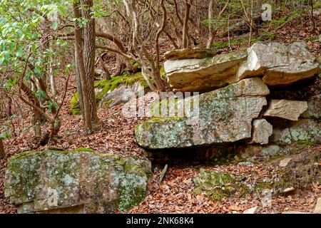 Énormes rochers recouverts de lichens et de mousse empilés les uns sur les autres avec une variété d'arbres entourés de feuilles tombées sur un flanc de montagne dans le Banque D'Images