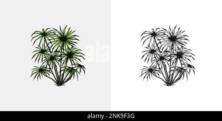 Paume Phoenix ou Date. Arbres tropicaux plantes exotiques. Paysage de l'est. Nature exotique. Linear Jungle. Croquis dessiné à la main de style vintage. Illustration de Vecteur