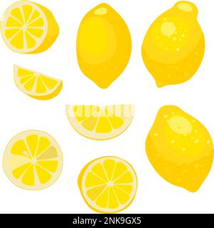 citron, fruit entier, entier et tranches de citron, illustration vectorielle. illustration de fruits de citron pour affiche décorative, emblème produit naturel, agriculteurs ma Illustration de Vecteur
