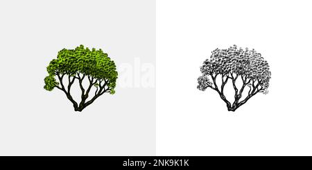 Arbres tropicaux plantes exotiques. Paysage de l'est. Nature exotique. Linear Jungle. Croquis dessiné à la main de style vintage. Illustration de Vecteur