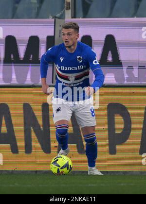 GÊNES - Michael Cuisance de UC Sampdoria pendant la série italienne Un match entre UC Sampdoria et FC Internazionale Milan au stade Luigi Ferraris sur 13 février 2023 à Gênes, Italie. AP | hauteur néerlandaise | GERRIT DE COLOGNE Banque D'Images