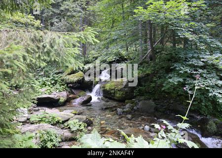 Cascade et rochers le long du sentier de randonnée en direction de Cascada Bâlea, près de la route Transfăgărășan en Roumanie Banque D'Images