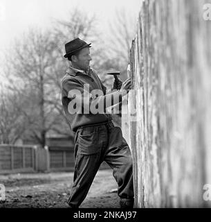 Comté de Suceava, République socialiste de Roumanie, env. 1980. Villageois fixant une clôture en bois. Banque D'Images