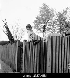 Comté de Suceava, République socialiste de Roumanie, env. 1980. Les enfants de la région regardent la clôture de leur maison. Banque D'Images