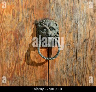 Knoper à tête de lion en bronze sur une porte en bois. Banque D'Images