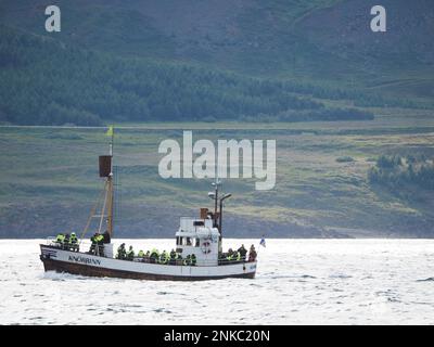 Bateau de pêche, touristes sur un bateau d'observation des baleines, près d'Akureyri, Eystra de Norourland, nord-est de l'Islande, Islande Banque D'Images