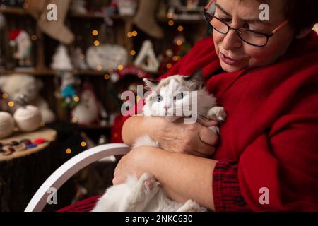 La grand-mère est assise sur une chaise à bascule avec un chat sur fond d'arrangement de Noël. En studio Banque D'Images