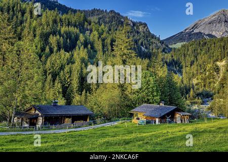 Huttes de montagne dans les montagnes de Karwendel, Engtal près d'Ahornboden, forêt de montagne mixte avec des larches, des fermes, des spruces, des sangsues, des cendre, sous un bleu Banque D'Images