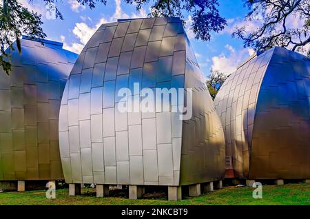 Quatre gousses en acier inoxydable conçues par l’architecte Frank Gehry sont photographiées au Musée d’art de l’OHR-O’Keefe, le 22 février 2023, à Biloxi, Mississippi. Banque D'Images