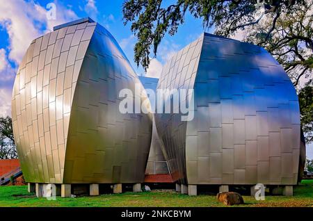 Quatre gousses en acier inoxydable conçues par l’architecte Frank Gehry sont photographiées au Musée d’art de l’OHR-O’Keefe, le 22 février 2023, à Biloxi, Mississippi. Banque D'Images