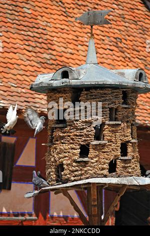 Dovecote de paille de 1895, Franconian Open Air Museum, Bad Windsheim, Basse-Franconie, Bavière, Allemagne Banque D'Images