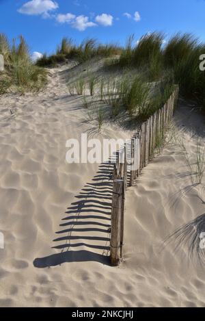 Dunes avec clôture de dunes pour se protéger contre l'érosion sur une plage en Normandie, France Banque D'Images