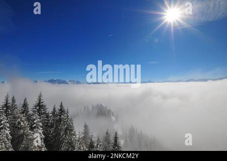 Vue depuis la station de montagne du Laberbergbahn, Oberammergau, du Laber, en arrière-plan les montagnes de l'Ammergau, Bavière, Allemagne Banque D'Images