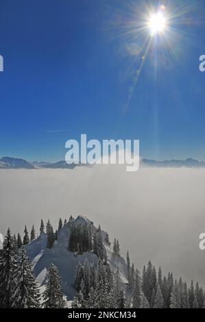 Vue depuis la station de montagne du Laberbergbahn, Oberammergau, du Laber, en arrière-plan les montagnes de l'Ammergau, Bavière, Allemagne Banque D'Images