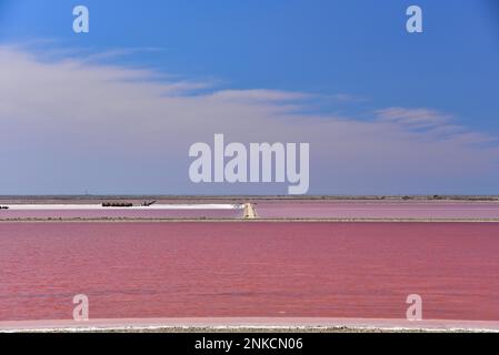 Extraction de sel dans les salines d'eau de mer de Giraud en Camargue, département des Bouches-du-Rhône, Provence-Alpes-Côte d'Azur, France Banque D'Images