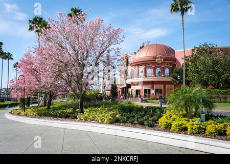 Hard Rock Cafe Restaurant à Universal Studios Park en Floride, États-Unis avec un arbre en fleurs. Banque D'Images