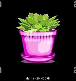Echeveria succulent dans le pot en céramique dans l'illustration de vecteur technique plate Illustration de Vecteur