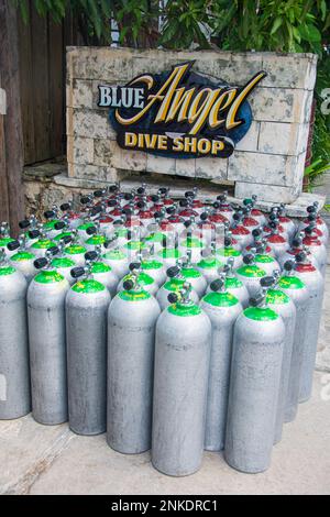 Un groupe de plongées devant un panneau publicitaire Blue Angel Dive Shop, Cozumel, Mexique. Banque D'Images