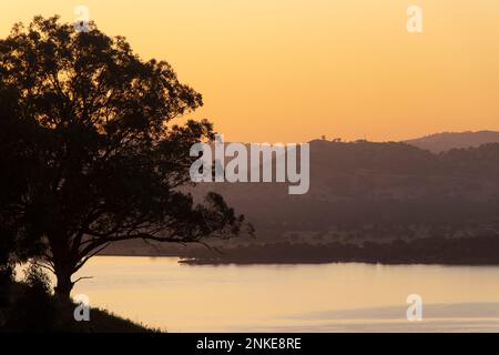 Sérénité au coucher du soleil : arbre silhouetté au-dessus du lac Hume Banque D'Images