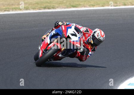 Victoria, Australie. 24th févr. 2023. Iker Lecuona (ESP) course pour l'écurie Team HRC à bord de la Honda CBR1000 RR-R lors de la prêve pour le Grand Ridge Round australien 2023 du Championnat du monde de Superbike MOTUL FIM 2023 à Phillip Island, Australie, le 24 février 2023 - image Credit: brett keating/Alay Live News Banque D'Images