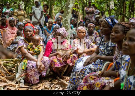 Agboville, Côte d'Ivoire. 23rd févr. 2023. Les travailleurs de la récolte s'assoient dans une plantation de cacao. Le ministre fédéral du travail Heil et le ministre fédéral de la coopération et du développement économiques Schulze se rendent au Ghana et en Côte d'Ivoire. Credit: Christophe bateau/dpa/Alay Live News Banque D'Images